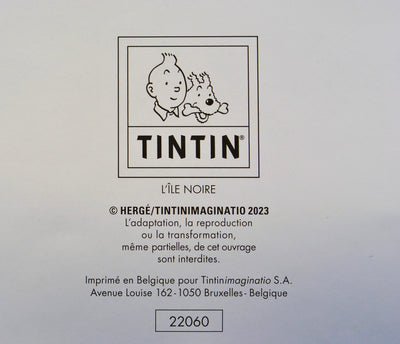  HERGE : Tintin - L'Ile noire, Affiche originale (photo de détail 5) - Crédit photo : Galerie Art.Paris