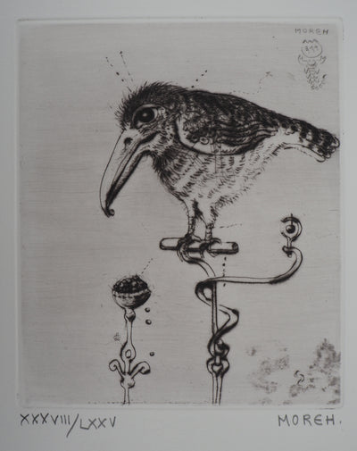 Mordecaï MOREH : L'oiseau au grand bec, Gravure originale signée