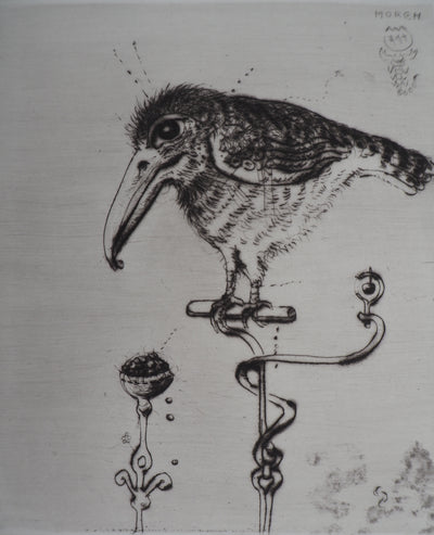 Mordecaï MOREH : L'oiseau au grand bec, Gravure originale signée