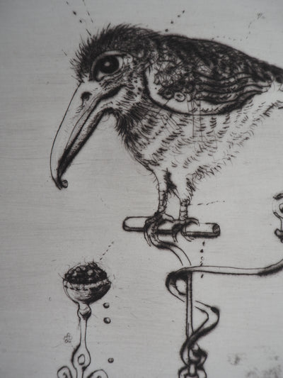 Mordecaï MOREH : L'oiseau au grand bec, Gravure originale signée