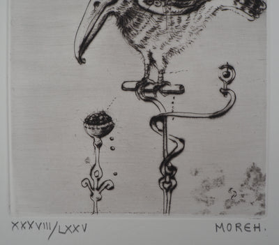 Mordecaï MOREH : L'oiseau au grand bec, Gravure originale signée