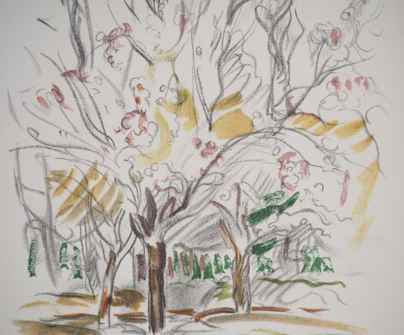Emile Othon FRIESZ : Paysages d&