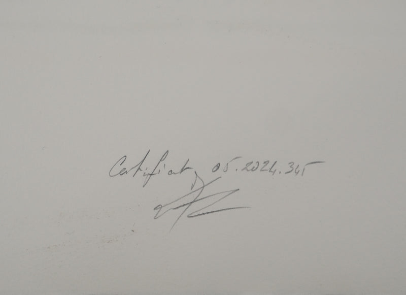 Marc CHAGALL : Burlesque au cirque, Lithographie originale (photo de détail 2) - Crédit photo : Galerie Art.Paris