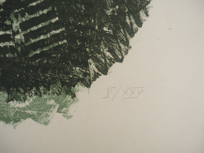 Max ERNST : Ficus Elastica, c., Lithographie originale (photo de détail 2) - Crédit photo : Galerie Art.Paris