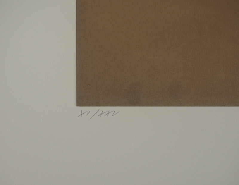 Man RAY : Silhouette féminine, Gravure originale (photo de détail 6) - Crédit photo : Galerie Art.Paris