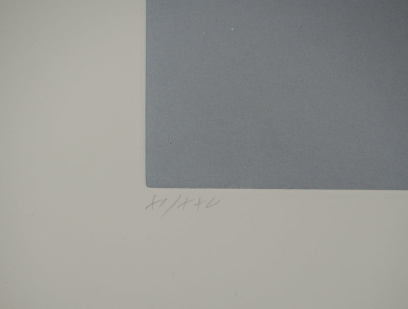 Man RAY : Anatoms, Souplesse, Gravure originale (photo de détail 5) - Crédit photo : Galerie Art.Paris