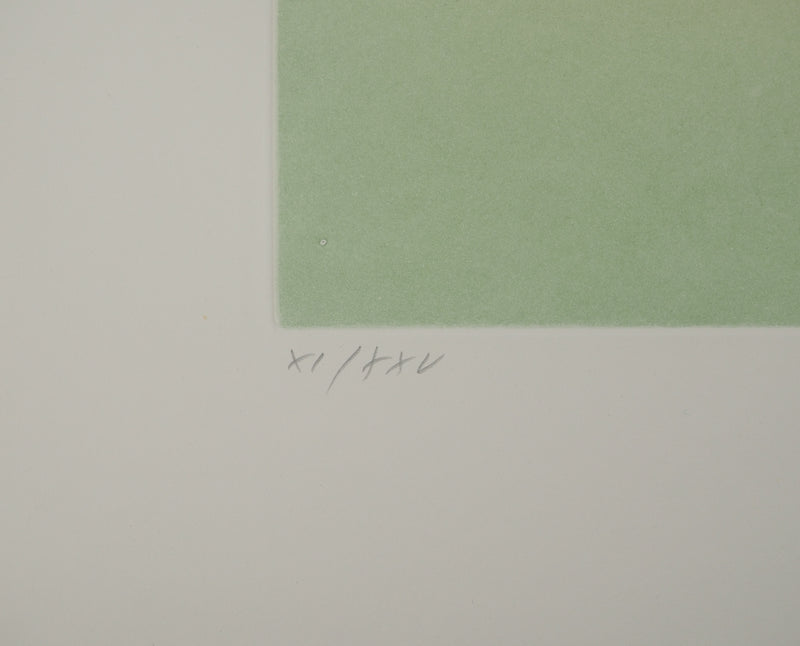 Man RAY : Légèreté du corps, Gravure originale (photo de détail 6) - Crédit photo : Galerie Art.Paris