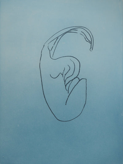 Man RAY : Silhouette recroquevillée, Gravure originale (photo de détail 3) - Crédit photo : Galerie Art.Paris