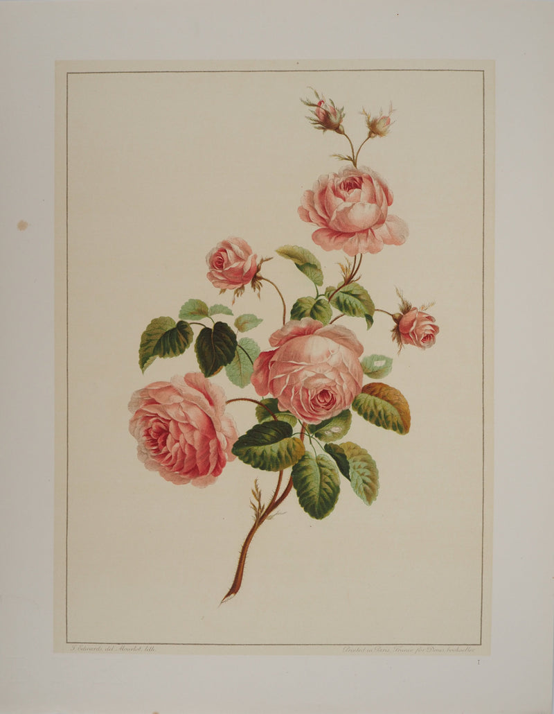 John EDWARDS : Fleurs et Bouquets : Les roses, Lithographie originale (vue générale) - Crédit photo : Galerie Art.Paris