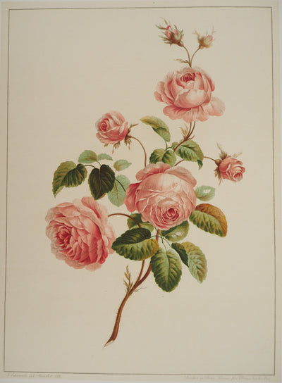 John EDWARDS : Fleurs et Bouquets : Les roses, Lithographie originale (photo de détail 3) - Crédit photo : Galerie Art.Paris