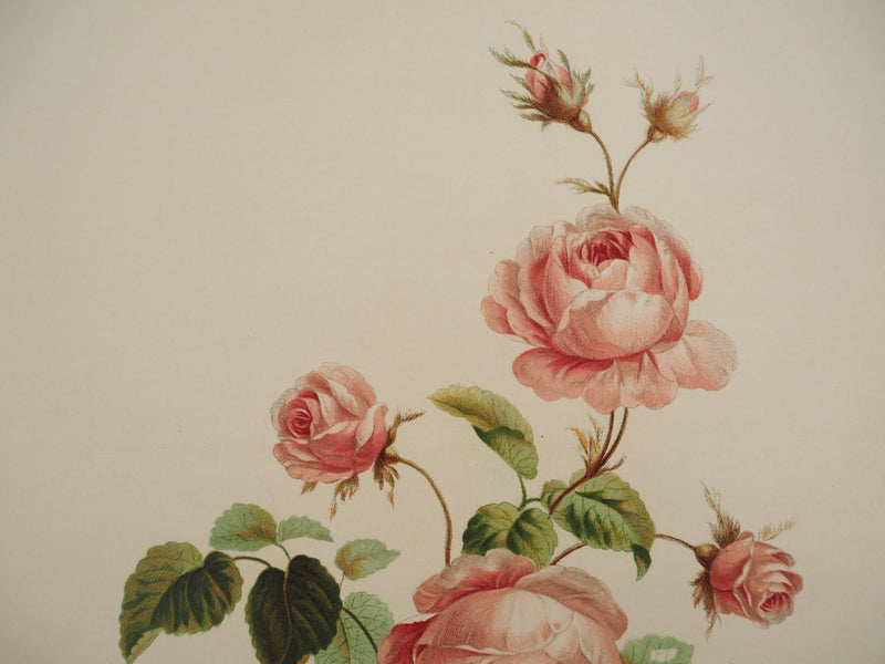 John EDWARDS : Fleurs et Bouquets : Les roses, Lithographie originale (photo de détail 5) - Crédit photo : Galerie Art.Paris