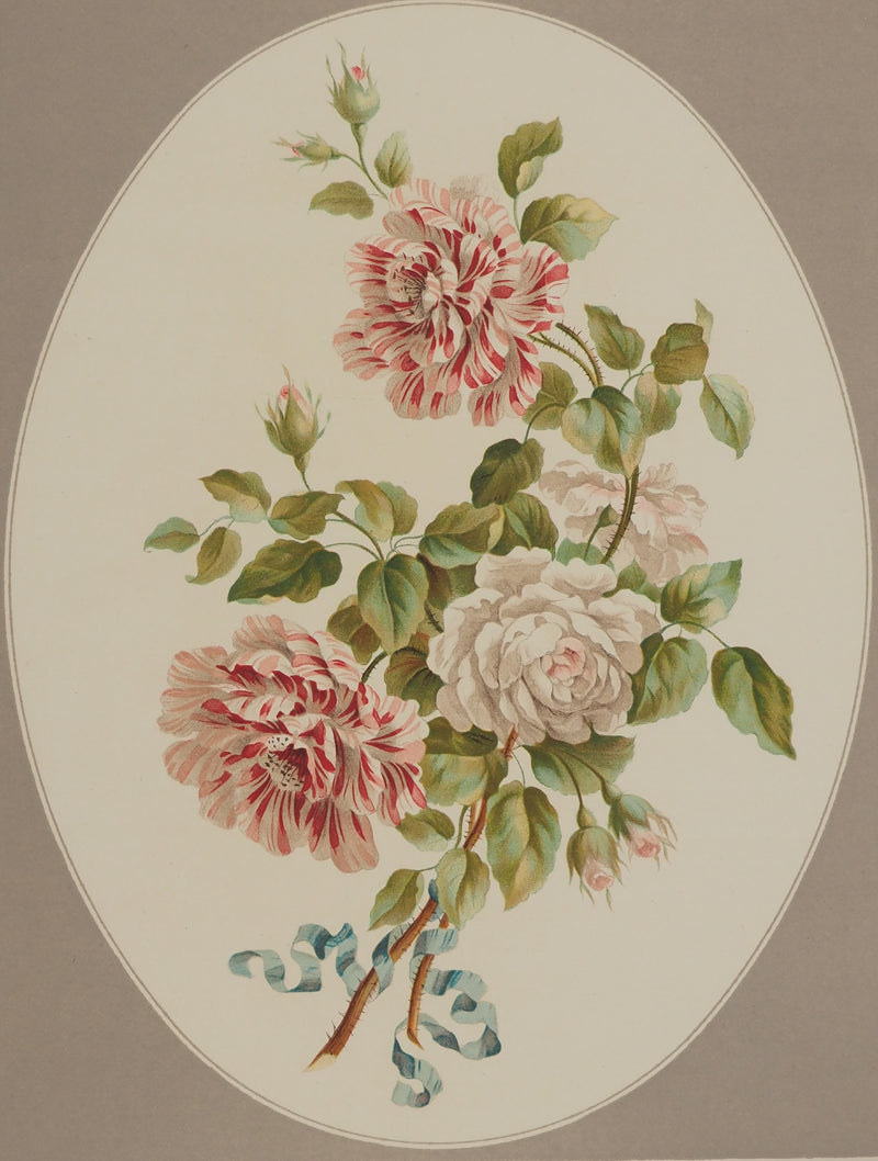 John EDWARDS : Fleurs et Bouquets : Les roses anciennes, Lithographie originale (photo de détail 2) - Crédit photo : Galerie Art.Paris