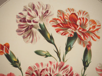 John EDWARDS : Fleurs et Bouquets : Les œillets du fleuriste, Lithographie originale (photo de détail 5) - Crédit photo : Galerie Art.Paris