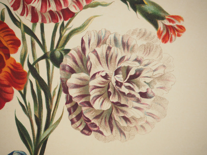 John EDWARDS : Fleurs et Bouquets : Les œillets du fleuriste, Lithographie originale (photo de détail 6) - Crédit photo : Galerie Art.Paris