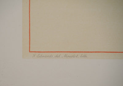 John EDWARDS : Fleurs et Bouquets : Les fleurs d'églantier, Lithographie originale (photo de détail 2) - Crédit photo : Galerie Art.Paris