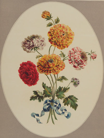 John EDWARDS : Fleurs et Bouquets : Les Renoncules asiatiques, Lithographie originale (photo de détail 2) - Crédit photo : Galerie Art.Paris