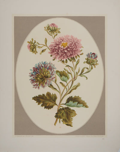 John EDWARDS : Fleurs et Bouquets : Les Chrysanthèmes, Lithographie originale (vue générale) - Crédit photo : Galerie Art.Paris