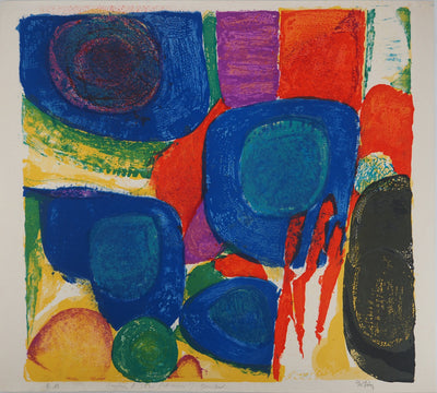 Gustav BOLIN : Symphonie Colorée, Lithographie originale (vue générale) - Crédit photo : Galerie Art.Paris