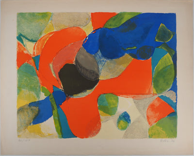 Gustav BOLIN : Explosion chromatique, Lithographie originale (vue générale) - Crédit photo : Galerie Art.Paris