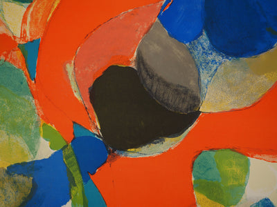 Gustav BOLIN : Explosion chromatique, Lithographie originale (photo de détail 4) - Crédit photo : Galerie Art.Paris