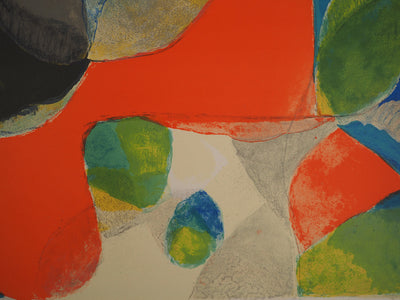 Gustav BOLIN : Explosion chromatique, Lithographie originale (photo de détail 5) - Crédit photo : Galerie Art.Paris
