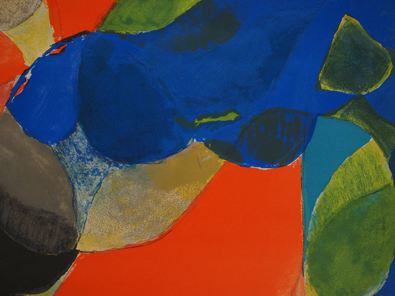Gustav BOLIN : Explosion chromatique, Lithographie originale (photo de détail 6) - Crédit photo : Galerie Art.Paris