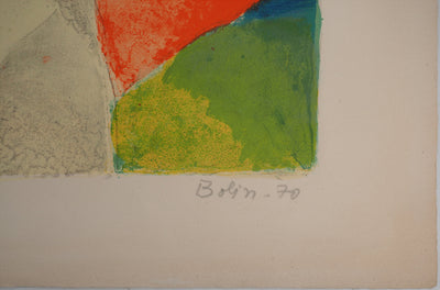 Gustav BOLIN : Explosion chromatique, Lithographie originale (photo de détail 2) - Crédit photo : Galerie Art.Paris