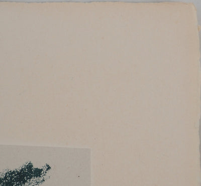 André MASSON : La cascade bleue, Lithographie originale (photo de détail 7) - Crédit photo : Galerie Art.Paris