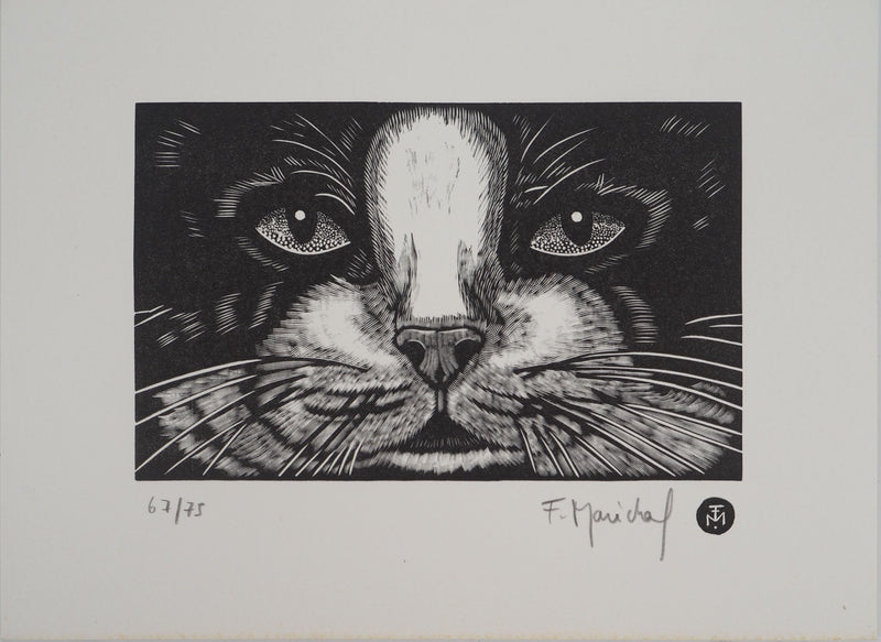 François MARECHAL : Face de chat, Gravure sur bois originale (vue générale) - Crédit photo : Galerie Art.Paris