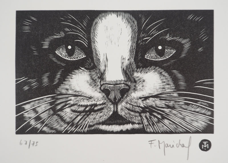 François MARECHAL : Face de chat, Gravure sur bois originale (photo de détail 3) - Crédit photo : Galerie Art.Paris