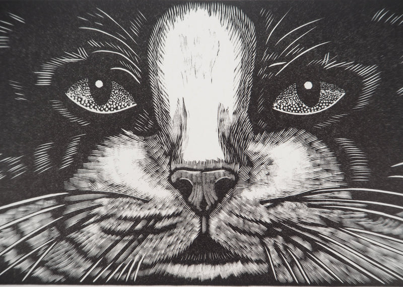 François MARECHAL : Face de chat, Gravure sur bois originale (photo de détail 4) - Crédit photo : Galerie Art.Paris