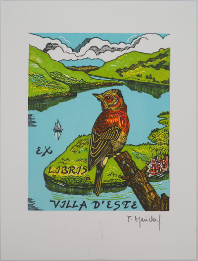 François MARECHAL : L'oiseau coloré, Gravure sur bois originale (vue générale) - Crédit photo : Galerie Art.Paris