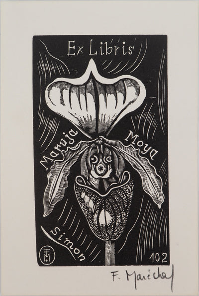 François MARECHAL : Orchidée : Sabot de Vénus, Gravure sur bois originale (vue générale) - Crédit photo : Galerie Art.Paris