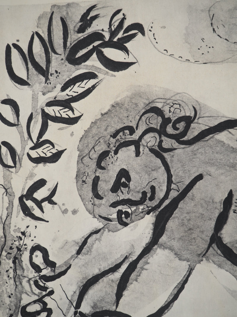 Marc CHAGALL : Cai, Héliogravure originale (photo de détail 3) - Crédit photo : Galerie Art.Paris