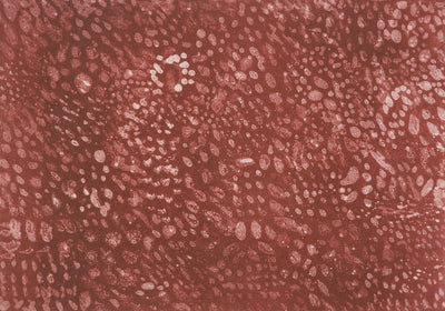 Mark TOBEY : Sous la lumière pourpre, Lithographie originale (photo de détail 3) - Crédit photo : Galerie Art.Paris