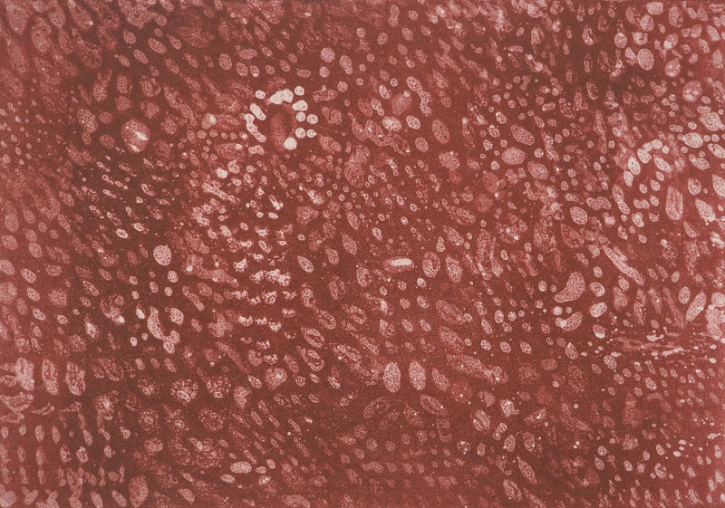 Mark TOBEY : Sous la lumière pourpre, Lithographie originale (photo de détail 3) - Crédit photo : Galerie Art.Paris
