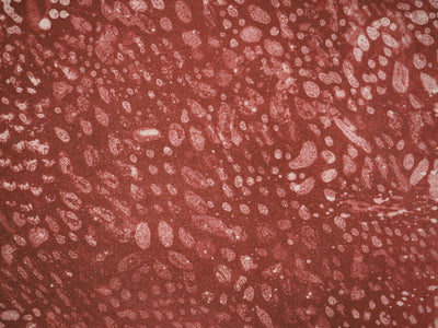 Mark TOBEY : Sous la lumière pourpre, Lithographie originale (photo de détail 4) - Crédit photo : Galerie Art.Paris