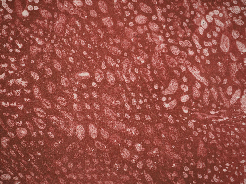 Mark TOBEY : Sous la lumière pourpre, Lithographie originale (photo de détail 4) - Crédit photo : Galerie Art.Paris