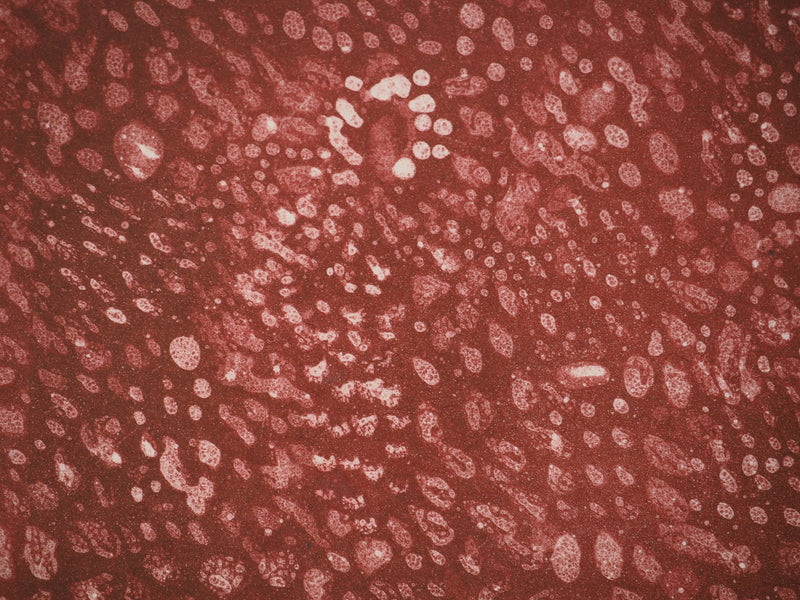 Mark TOBEY : Sous la lumière pourpre, Lithographie originale (photo de détail 5) - Crédit photo : Galerie Art.Paris