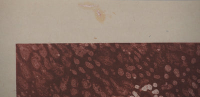 Mark TOBEY : Sous la lumière pourpre, Lithographie originale (photo de détail 7) - Crédit photo : Galerie Art.Paris