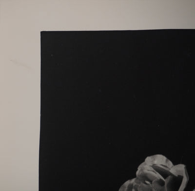 Irina IONESCO : Portrait aux raisins, oeuvre originale (photo de détail 6) - Crédit photo : Galerie Art.Paris