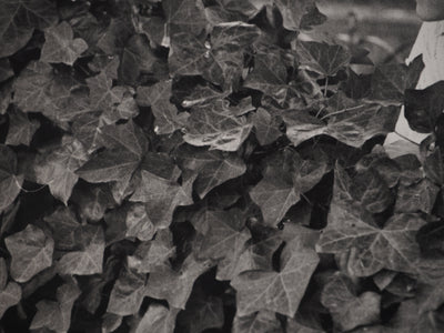 Irina IONESCO : Cache-cache, oeuvre originale (photo de détail 4) - Crédit photo : Galerie Art.Paris