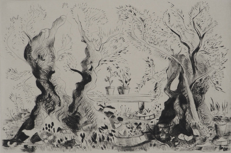Madeleine MELSONN : Oliviers du Jardin de Gethsémani, Gravure originale (vue générale) - Crédit photo : Galerie Art.Paris