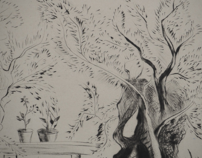 Madeleine MELSONN : Oliviers du Jardin de Gethsémani, Gravure originale (photo de détail 5) - Crédit photo : Galerie Art.Paris