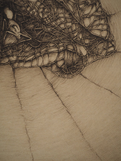 Fred DEUX : La voie initiatique, Gravure originale (photo de détail 6) - Crédit photo : Galerie Art.Paris