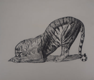Paul JOUVE : Tigre sur sa proie, c, Gravure originale (vue générale) - Crédit photo : Galerie Art.Paris