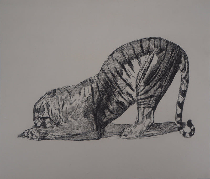 Paul JOUVE : Tigre sur sa proie, c, Gravure originale (vue générale) - Crédit photo : Galerie Art.Paris