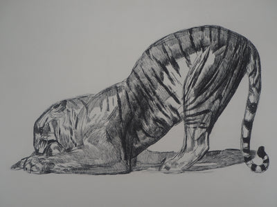 Paul JOUVE : Tigre sur sa proie, c, Gravure originale (photo de détail 2) - Crédit photo : Galerie Art.Paris