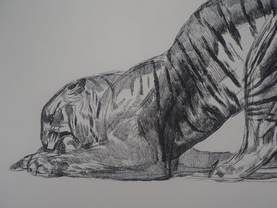 Paul JOUVE : Tigre sur sa proie, c, Gravure originale (photo de détail 3) - Crédit photo : Galerie Art.Paris
