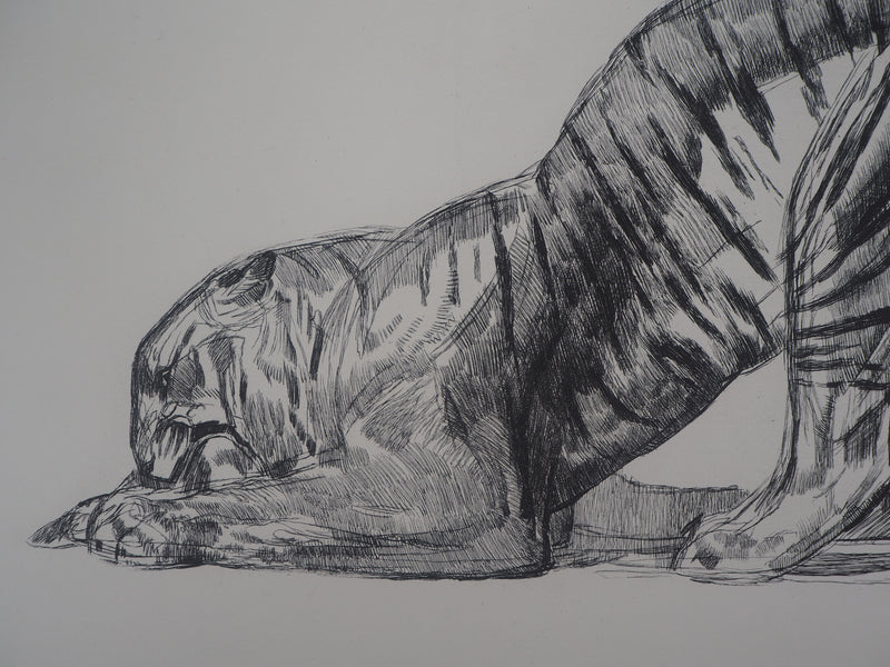 Paul JOUVE : Tigre sur sa proie, c, Gravure originale (photo de détail 3) - Crédit photo : Galerie Art.Paris